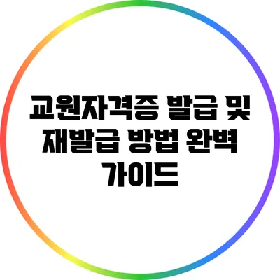 교원자격증 발급 및 재발급 방법 완벽 가이드