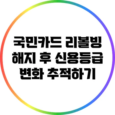 국민카드 리볼빙 해지 후 신용등급 변화 추적하기