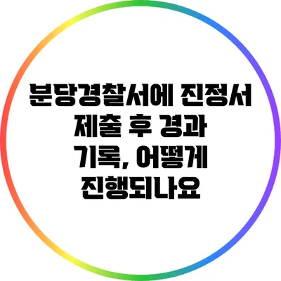 분당경찰서에 진정서 제출 후 경과 기록, 어떻게 진행되나요?