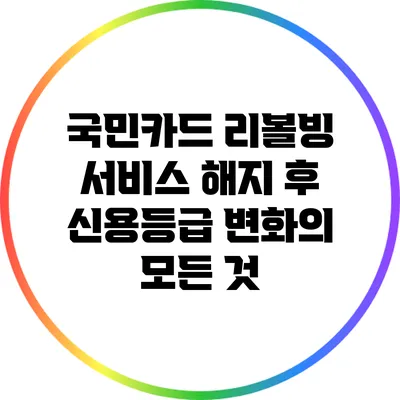 국민카드 리볼빙 서비스 해지 후 신용등급 변화의 모든 것