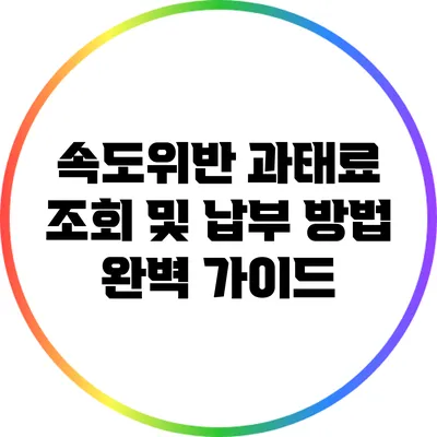 속도위반 과태료 조회 및 납부 방법 완벽 가이드