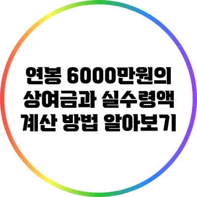 연봉 6000만원의 상여금과 실수령액 계산 방법 알아보기