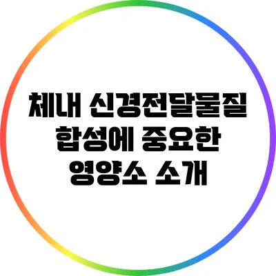 체내 신경전달물질 합성에 중요한 영양소 소개