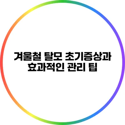 겨울철 탈모 초기증상과 효과적인 관리 팁