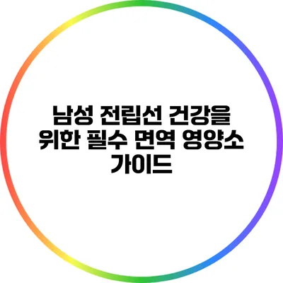 남성 전립선 건강을 위한 필수 면역 영양소 가이드