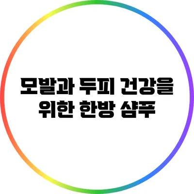 모발과 두피 건강을 위한 한방 샴푸