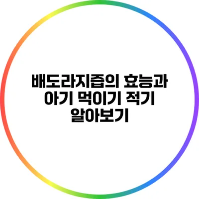 배도라지즙의 효능과 아기 먹이기 적기 알아보기