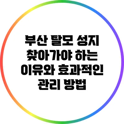 부산 탈모 성지: 찾아가야 하는 이유와 효과적인 관리 방법