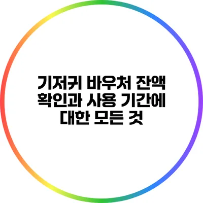 기저귀 바우처: 잔액 확인과 사용 기간에 대한 모든 것