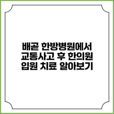 배곧 한방병원에서 교통사고 후 한의원 입원 치료 알아보기