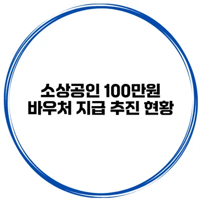 소상공인 100만원 바우처 지급 추진 현황