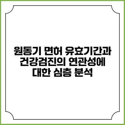 원동기 면허 유효기간과 건강검진의 연관성에 대한 심층 분석