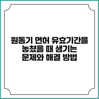 원동기 면허 유효기간을 놓쳤을 때 생기는 문제와 해결 방법