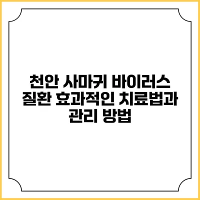 천안 사마귀 바이러스 질환: 효과적인 치료법과 관리 방법