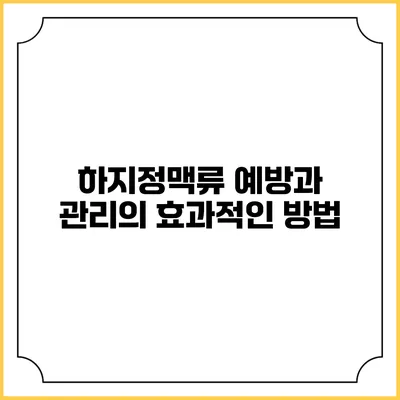 하지정맥류 예방과 관리의 효과적인 방법