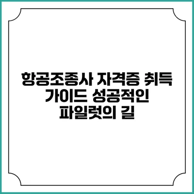 항공조종사 자격증 취득 가이드: 성공적인 파일럿의 길