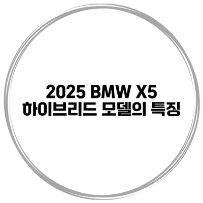 2025 BMW X5 하이브리드 모델의 특징