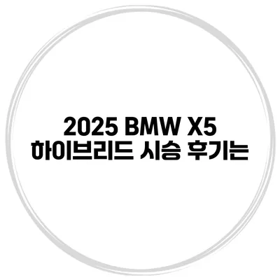 2025 BMW X5 하이브리드 시승 후기는?