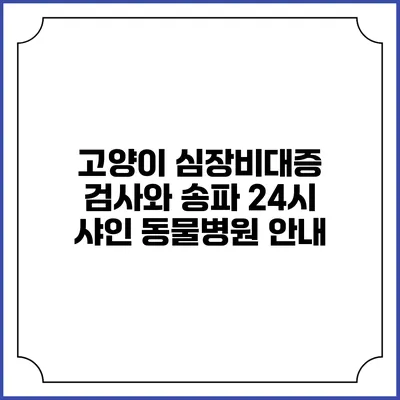 고양이 심장비대증 검사와 송파 24시 샤인 동물병원 안내