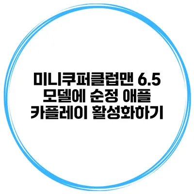 미니쿠퍼클럽맨 6.5 모델에 순정 애플 카플레이 활성화하기
