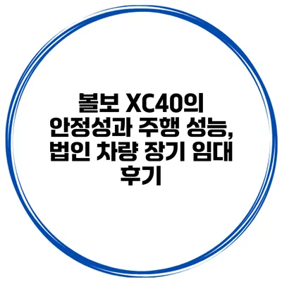 볼보 XC40의 안정성과 주행 성능, 법인 차량 장기 임대 후기