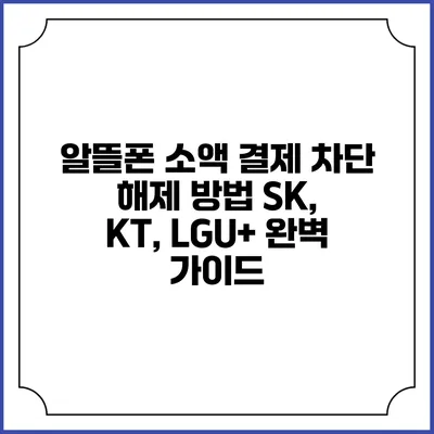 알뜰폰 소액 결제 차단 해제 방법: SK, KT, LGU+ 완벽 가이드