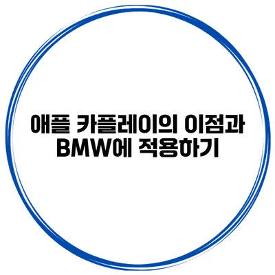 애플 카플레이의 이점과 BMW에 적용하기