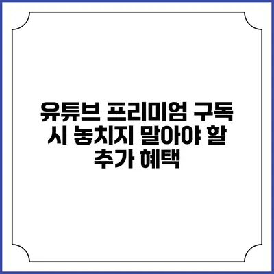 유튜브 프리미엄 구독 시 놓치지 말아야 할 추가 혜택