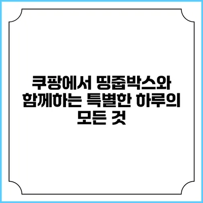 쿠팡에서 띵줍박스와 함께하는 특별한 하루의 모든 것